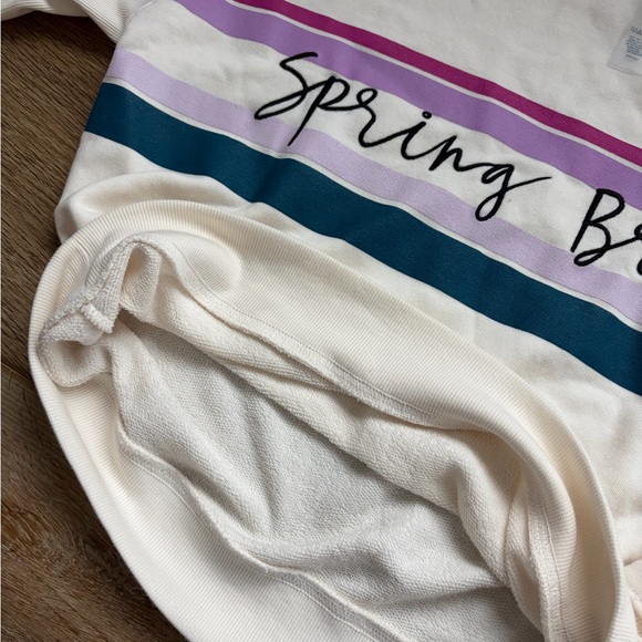 “Spring Break” Sweatshirt - Picture 3 of 5